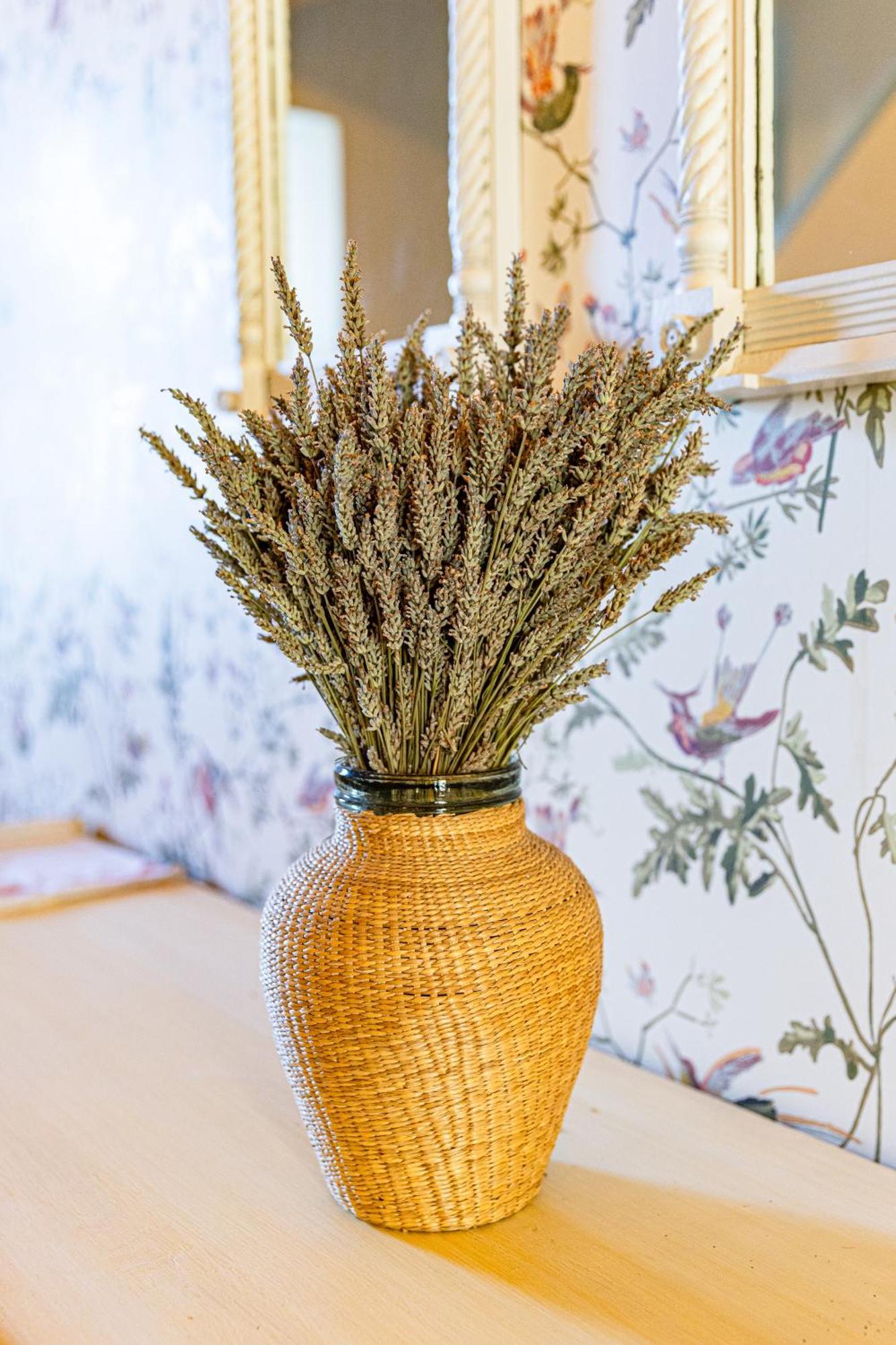 Maison Bournissac Noves Екстериор снимка